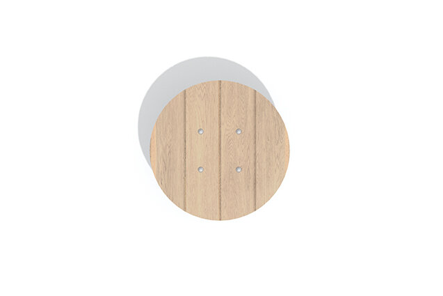 Carousel - Robinia Scandic small spinning disc for one child