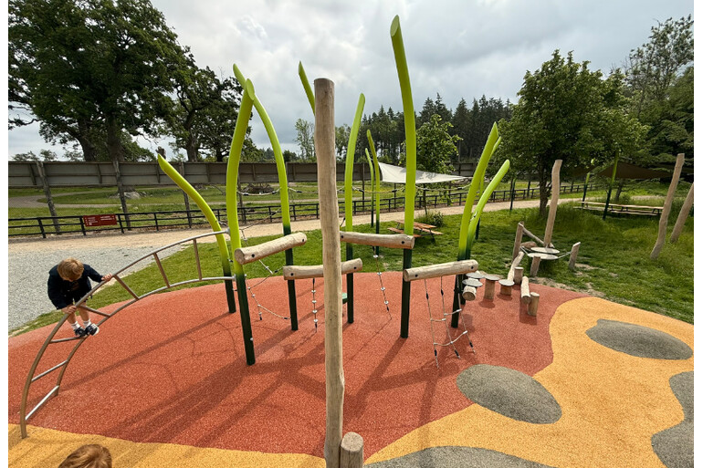 Foto af Climbing structure - Flora Play 3