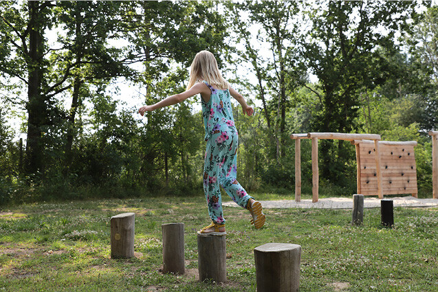 Obstacle course - balance post h 0.25m